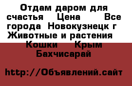 Отдам даром для счастья. › Цена ­ 1 - Все города, Новокузнецк г. Животные и растения » Кошки   . Крым,Бахчисарай